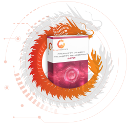 Property Dragon Property Management